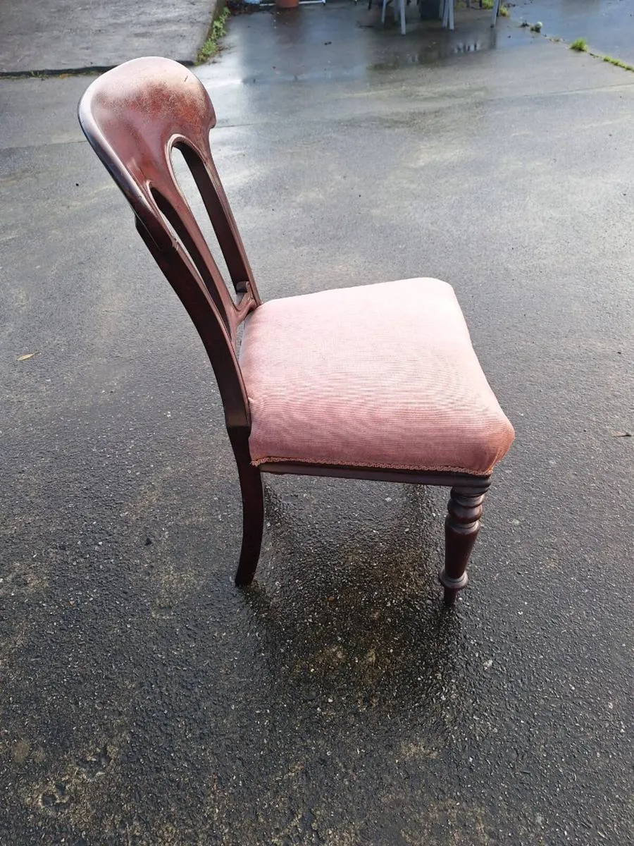 Lovely antique dining chair - Image 2