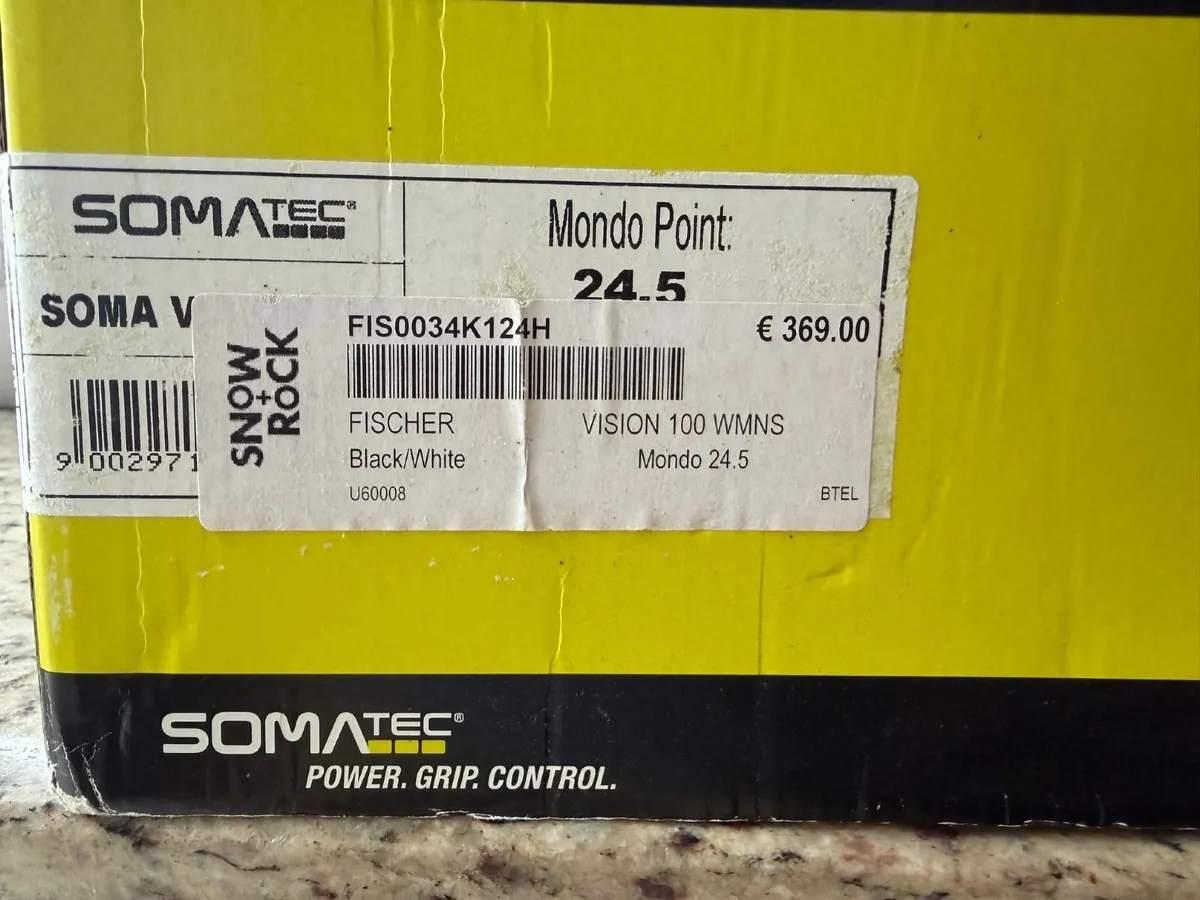 Ski Boots - Image 1