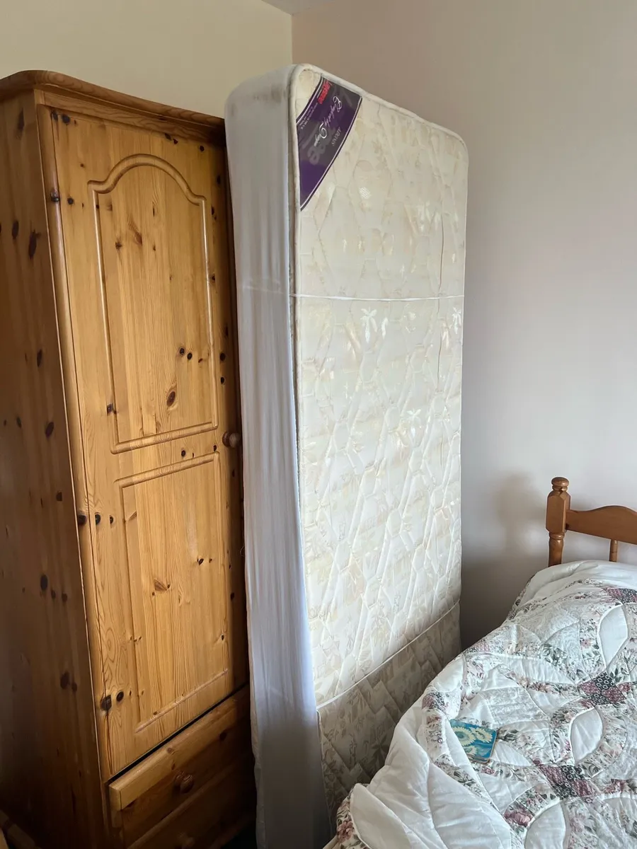 Matresses and single beds FOC - Image 1
