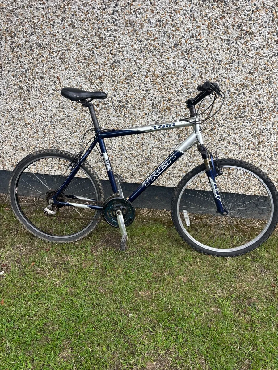 Adults bike trek - Image 1