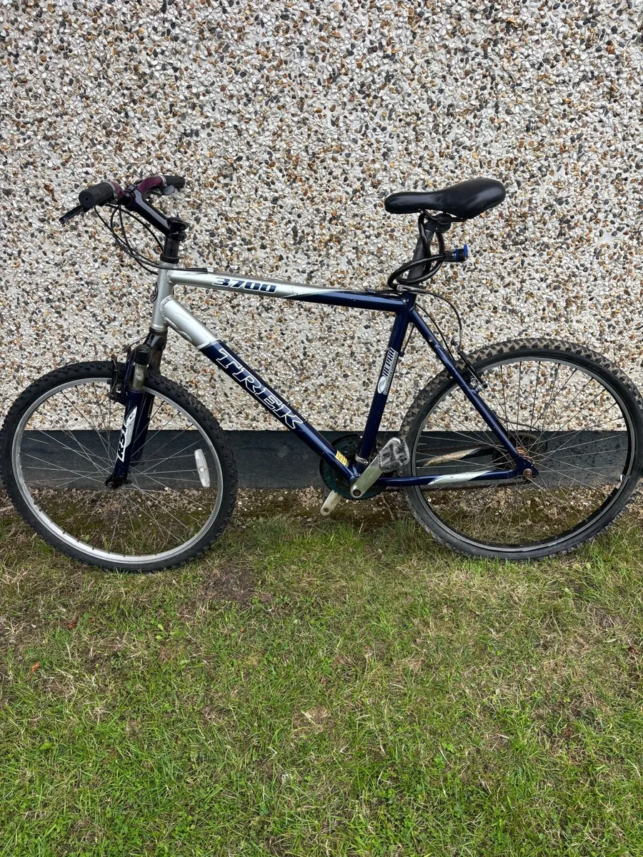 Adults bike trek - Image 2