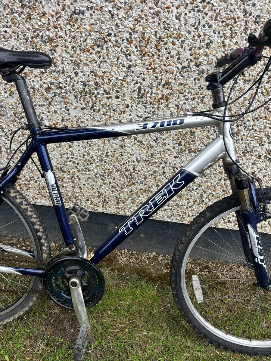 Adults bike trek - Image 3