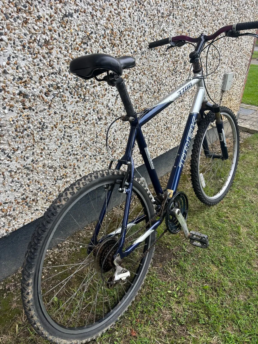 Adults bike trek - Image 4