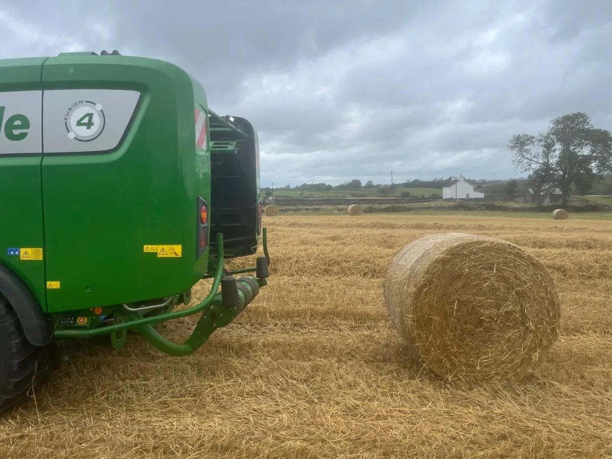 Barley Straw - Image 2