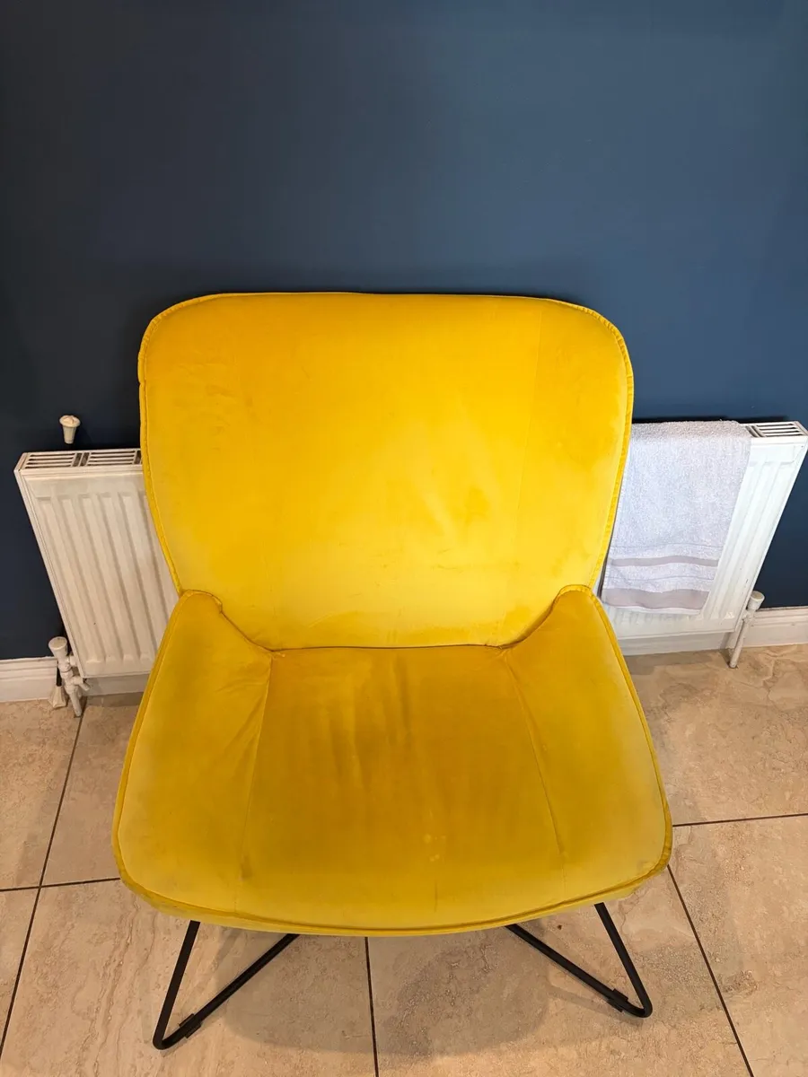 Chair and pooch - Image 2