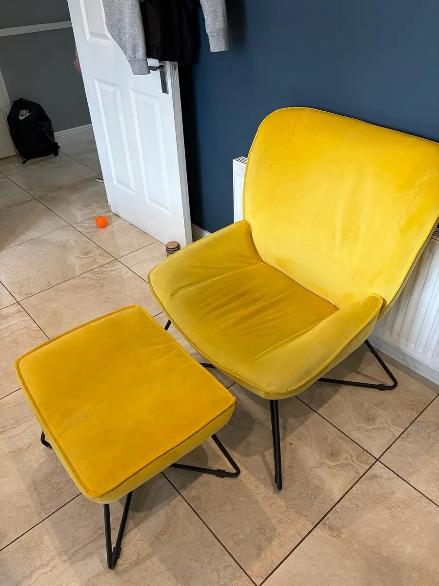 Chair and pooch - Image 3