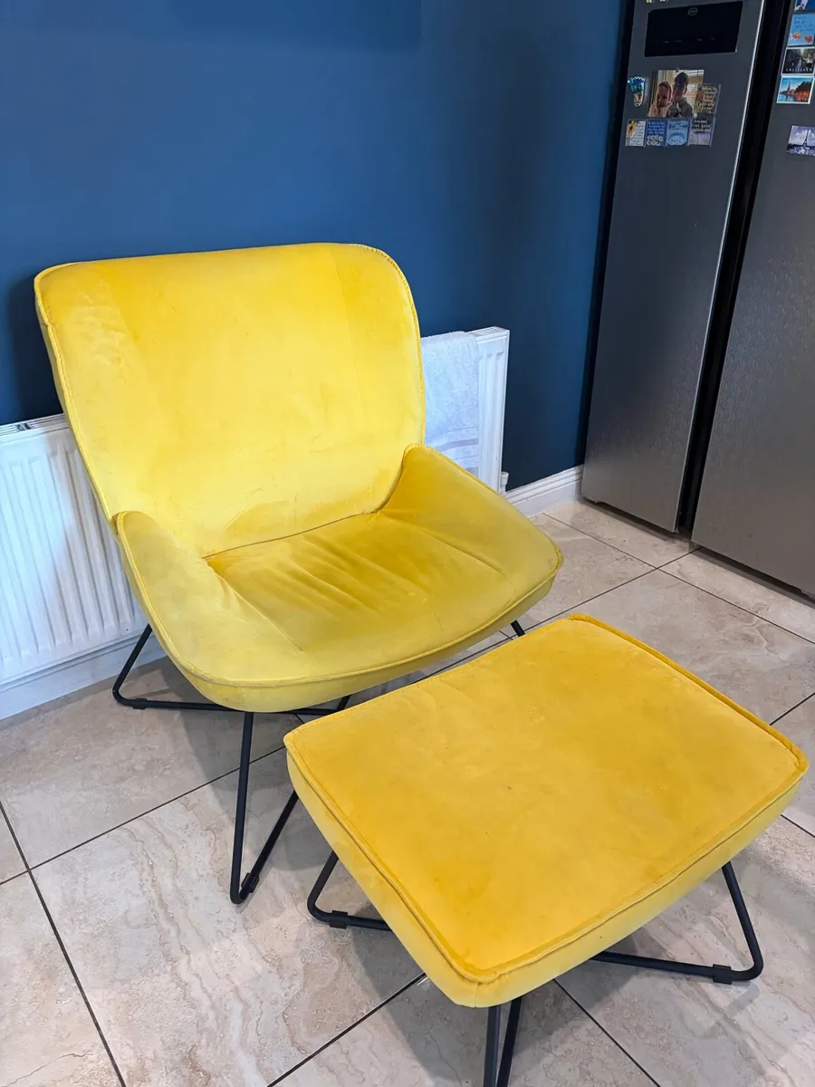 Chair and pooch - Image 1