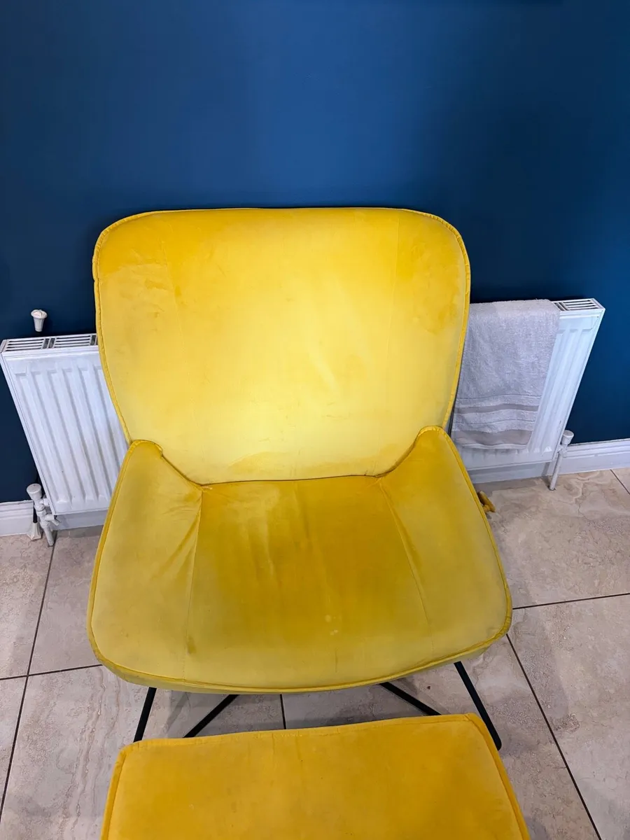 Chair and pooch - Image 4