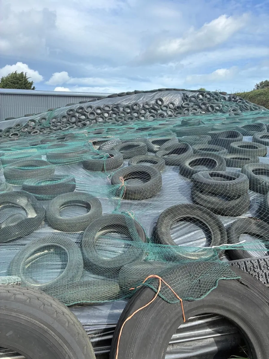 Pit Silage For Sale - Image 1