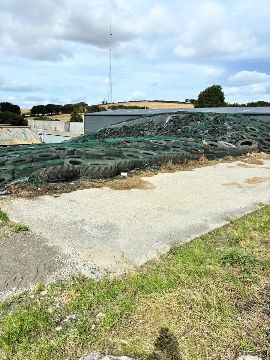 Pit Silage For Sale - Image 2