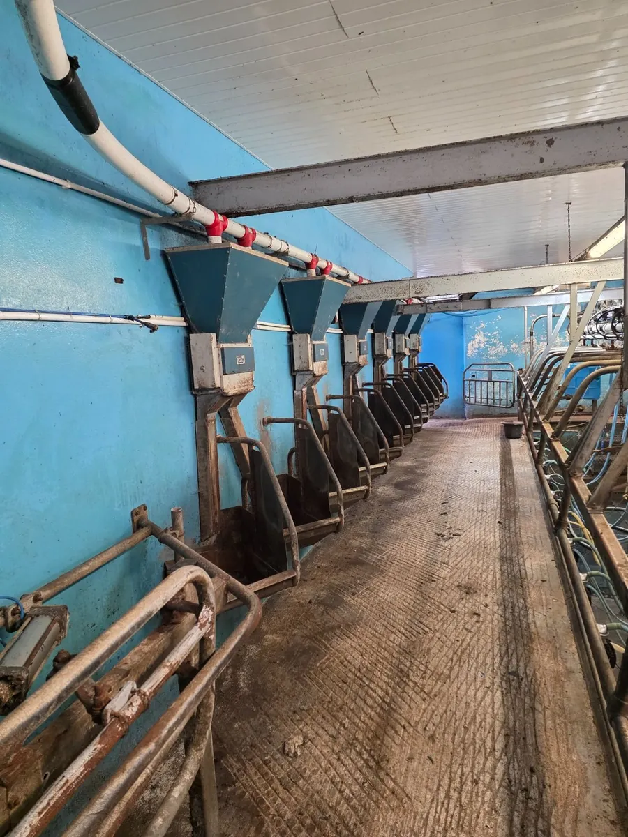 milking parlour - Image 2