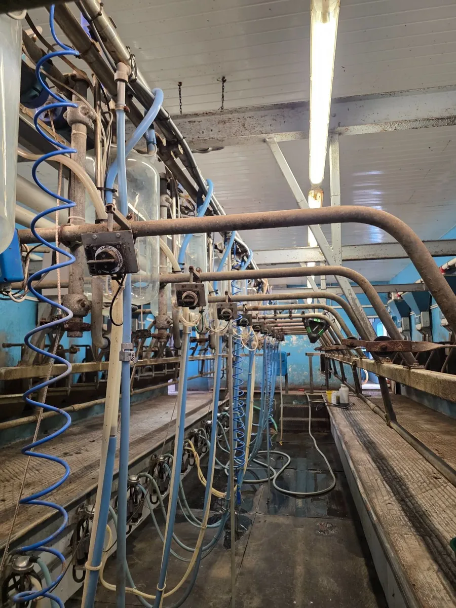 milking parlour - Image 4