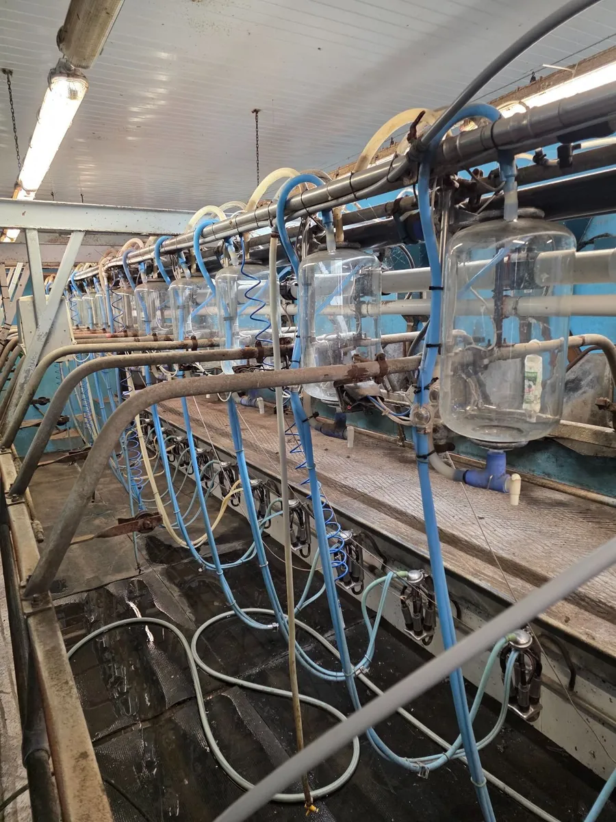 milking parlour - Image 1