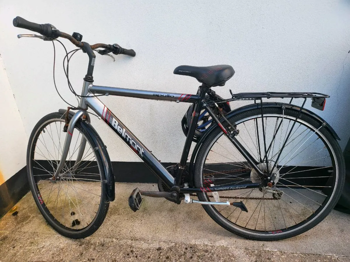 Cycle Free
