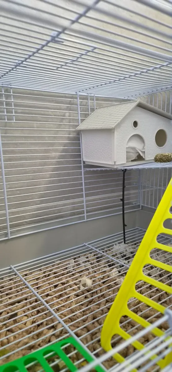 Hamster cage & food - Image 2