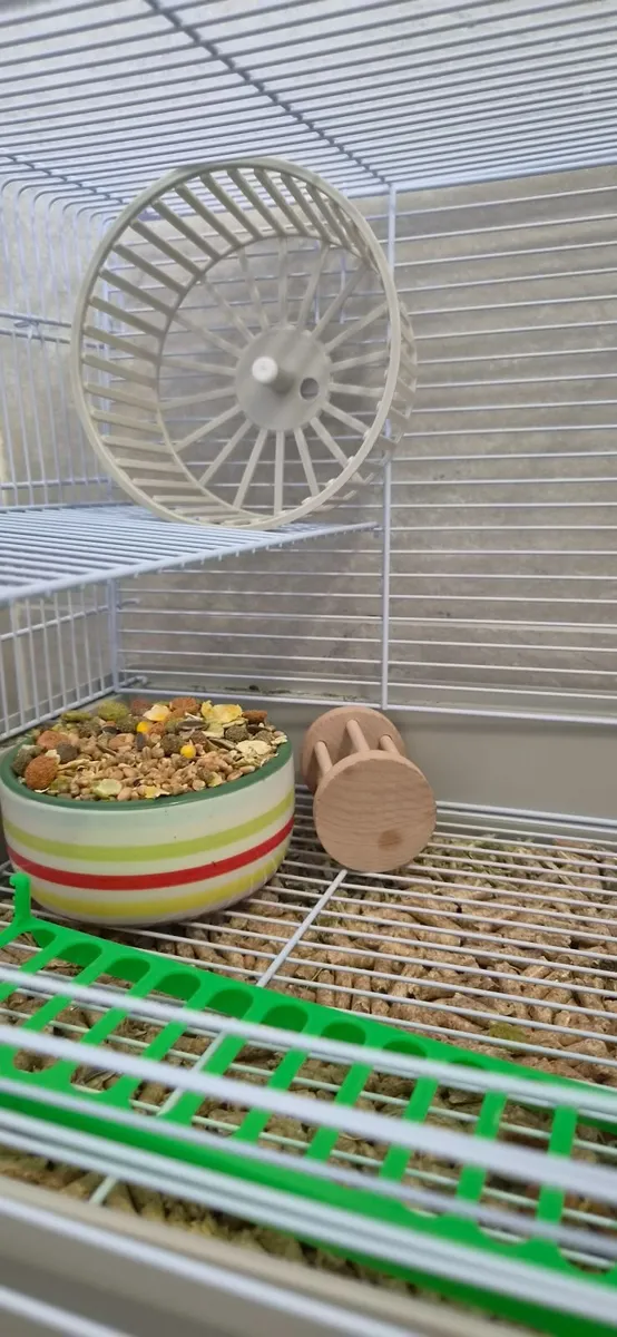 Hamster cage & food - Image 4