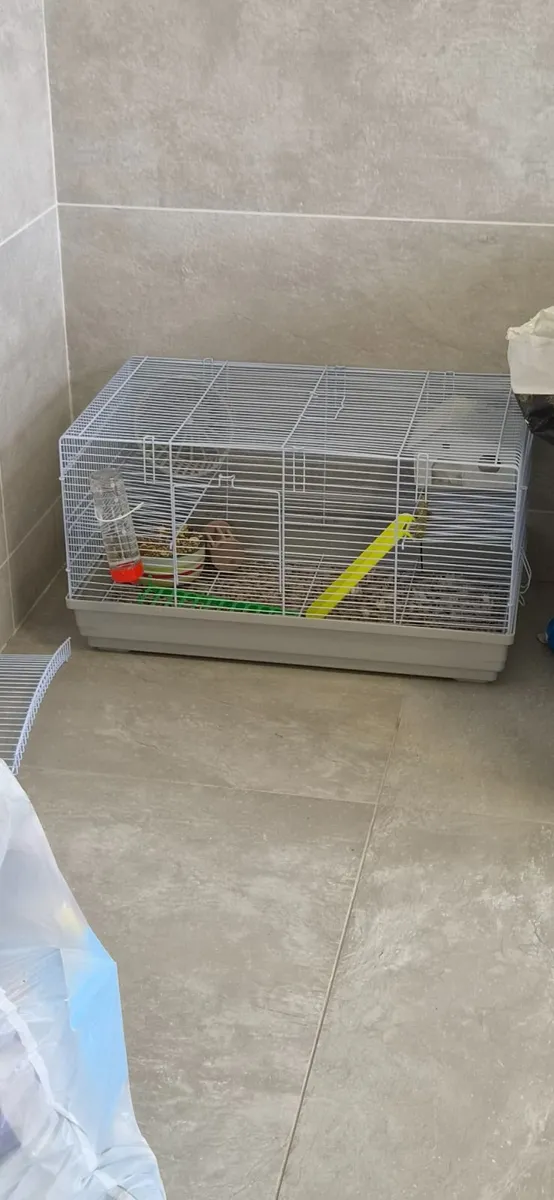 Hamster cage & food - Image 1