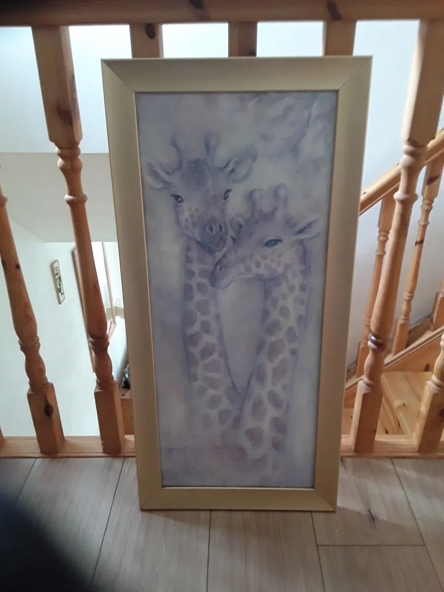 Nice long picture of two giraffes