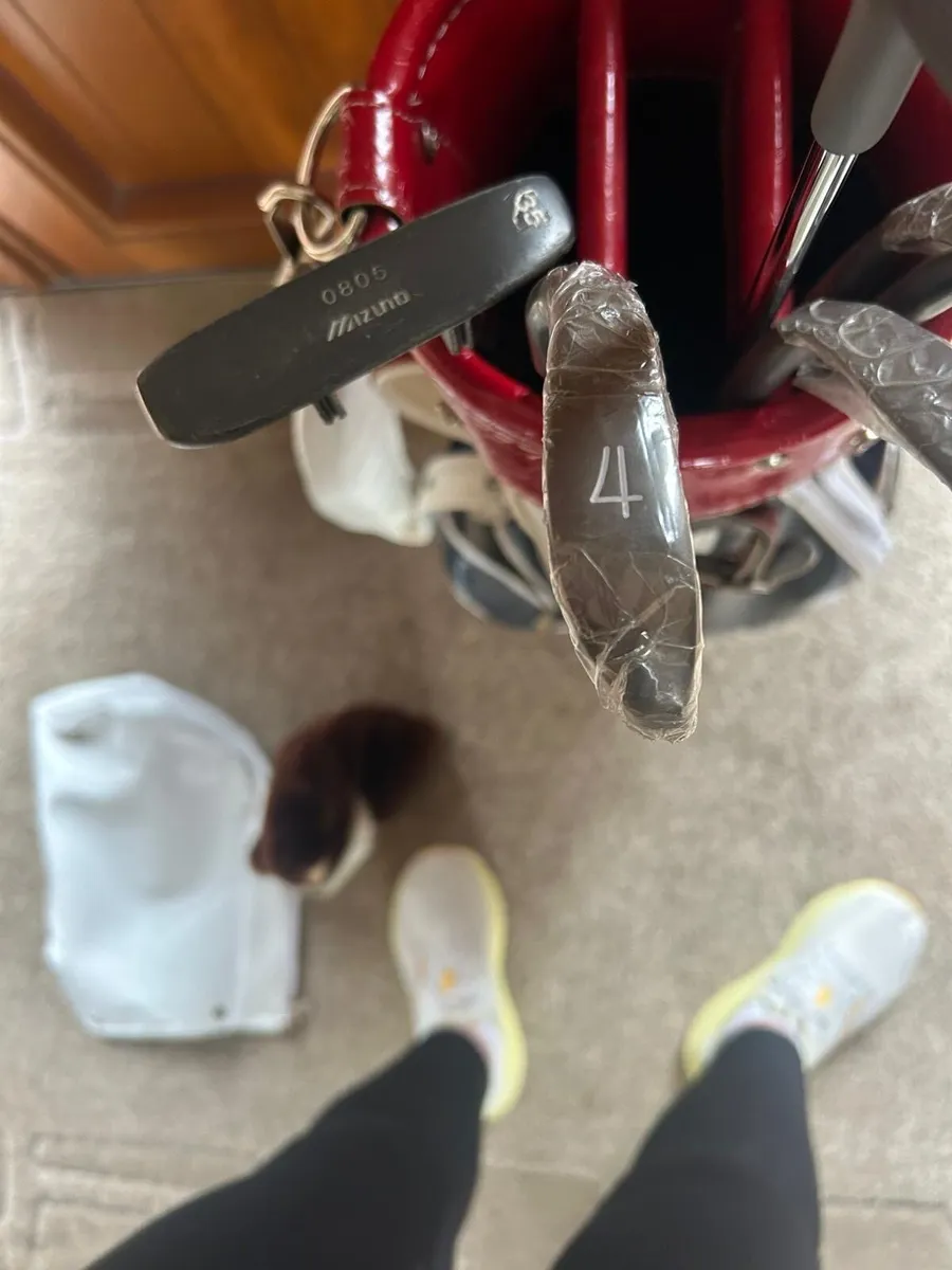 Women’s prosimmon golf set vintage - Image 4
