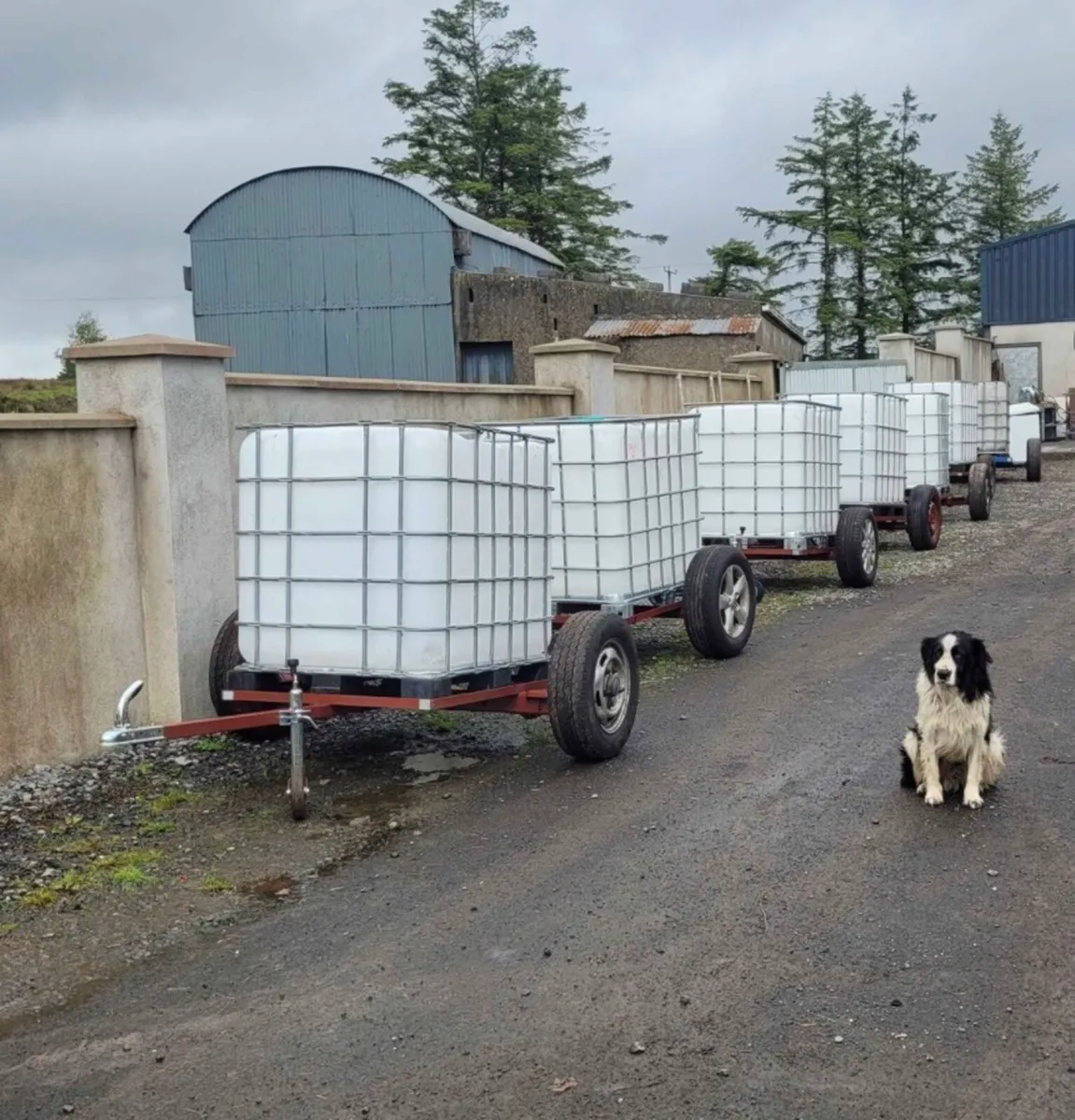 Ibc trailers - Image 1