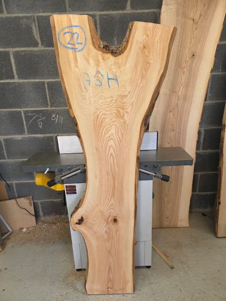 Solid Ash slabs live edges - Image 4