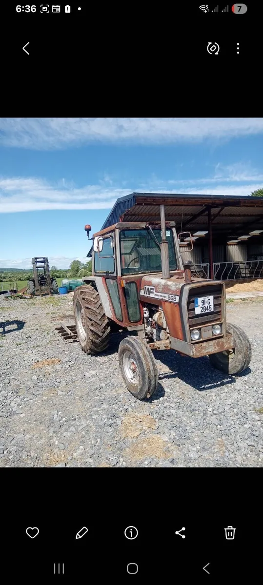 Massey ferguson 565