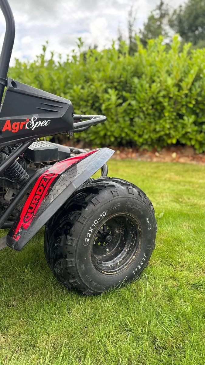 Quadzilla Dune Buggy - Image 2