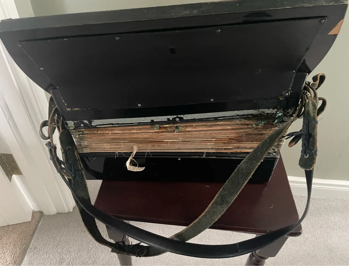 Accordion - Image 2
