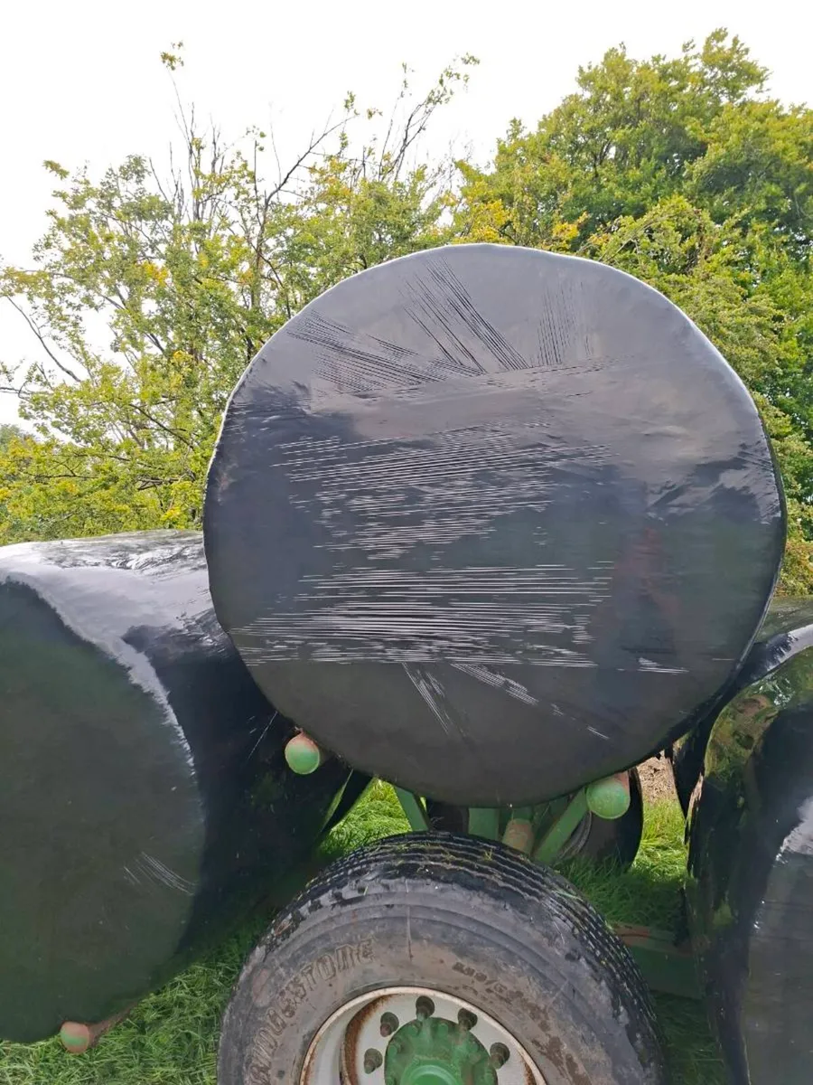 Bales silage - Image 2