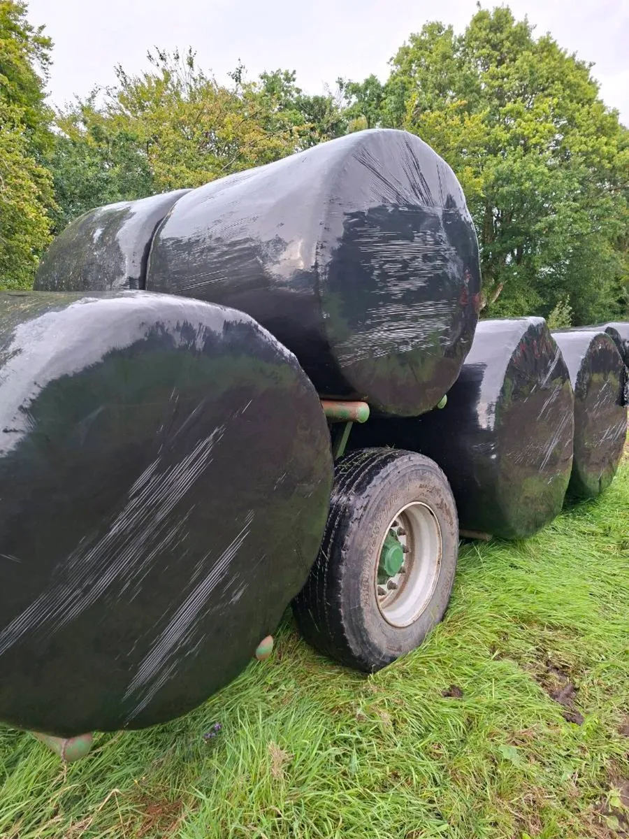 Bales silage - Image 4