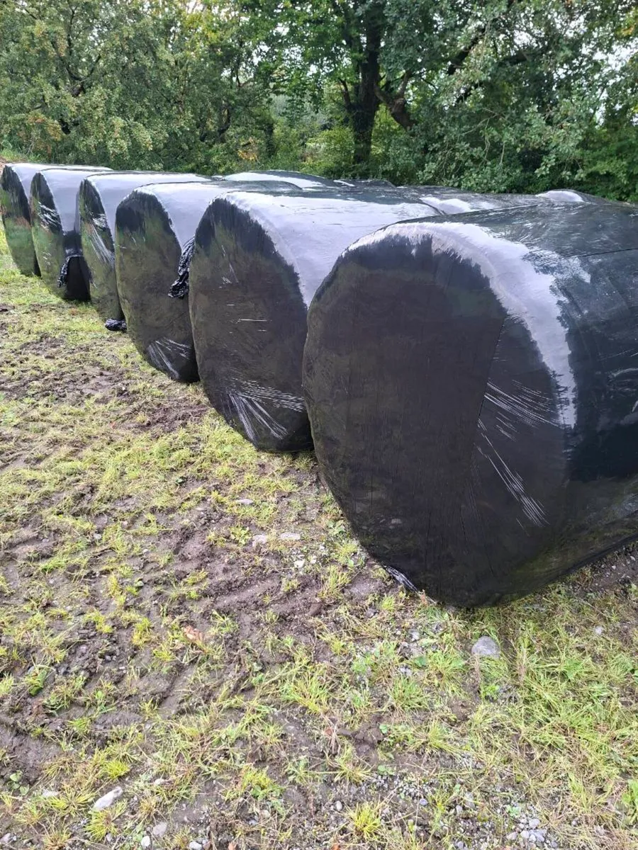 Bales silage - Image 1