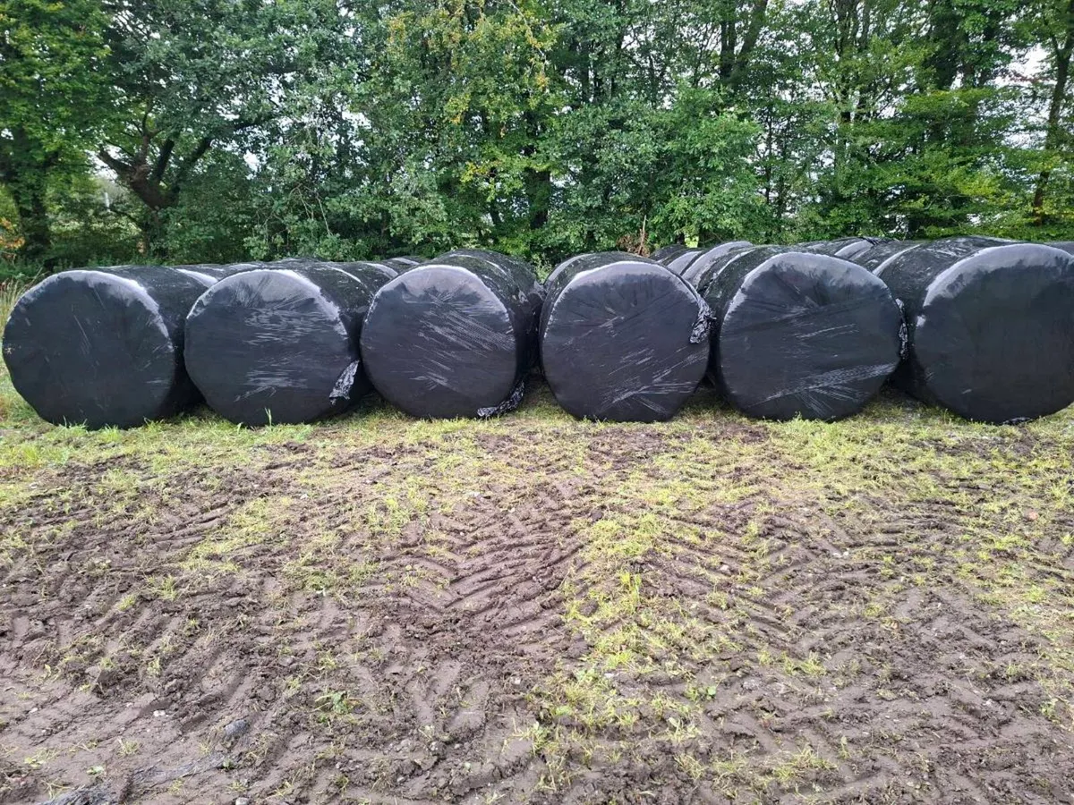 Bales silage - Image 1