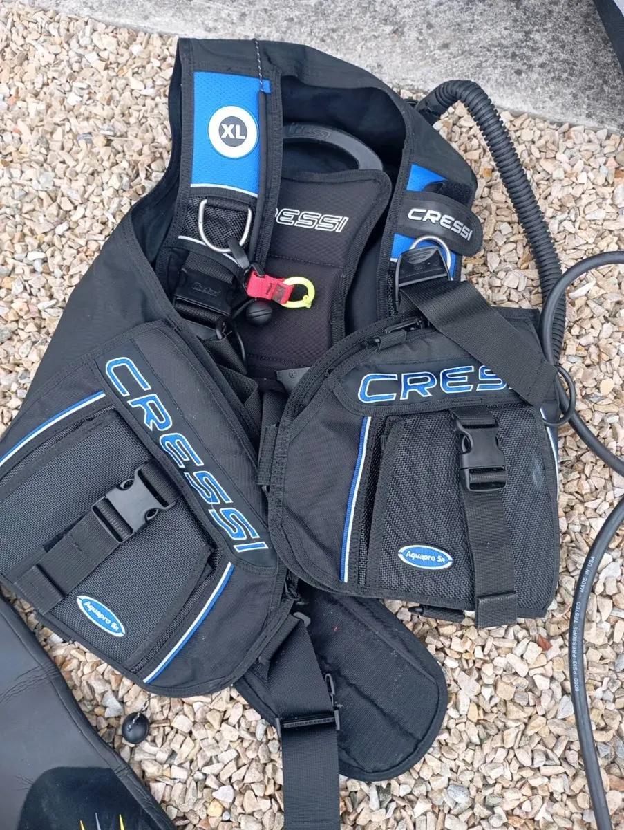 Diving Suit and Equipment - Image 2