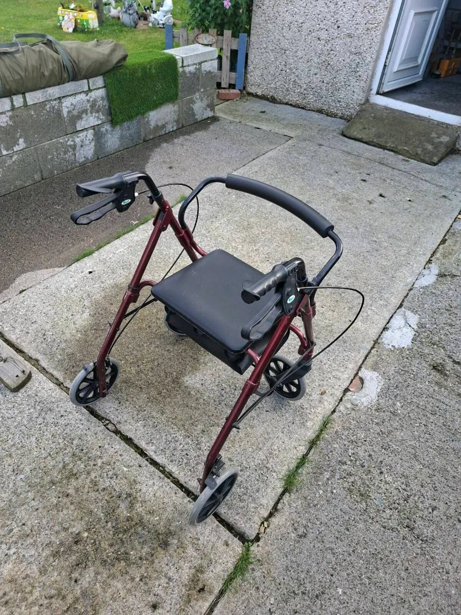 Walker - Image 4