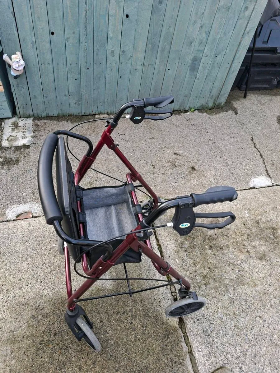 Walker - Image 1