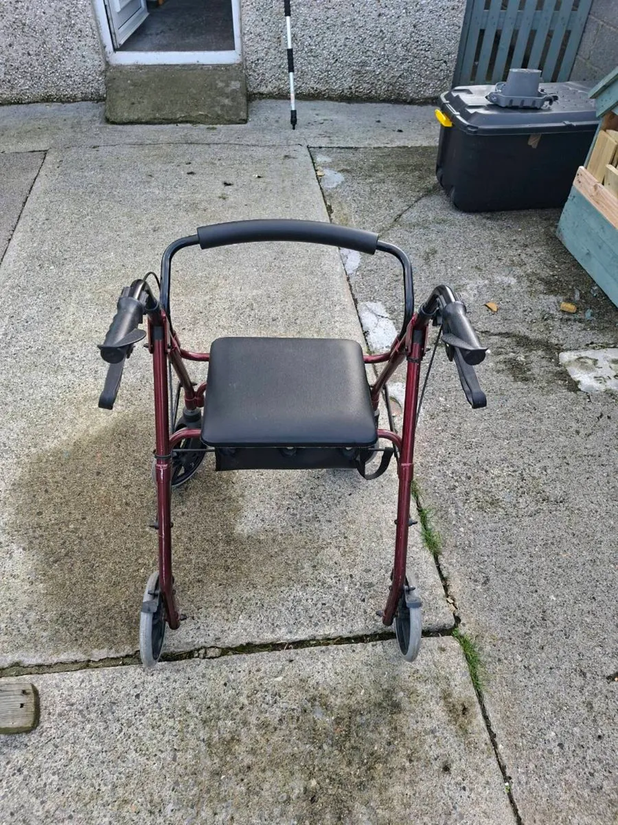 Walker - Image 2