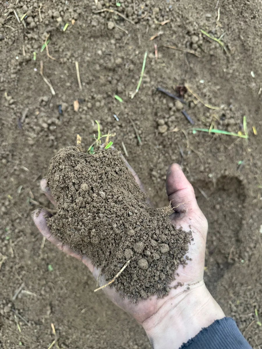 Screened topsoil - Image 2