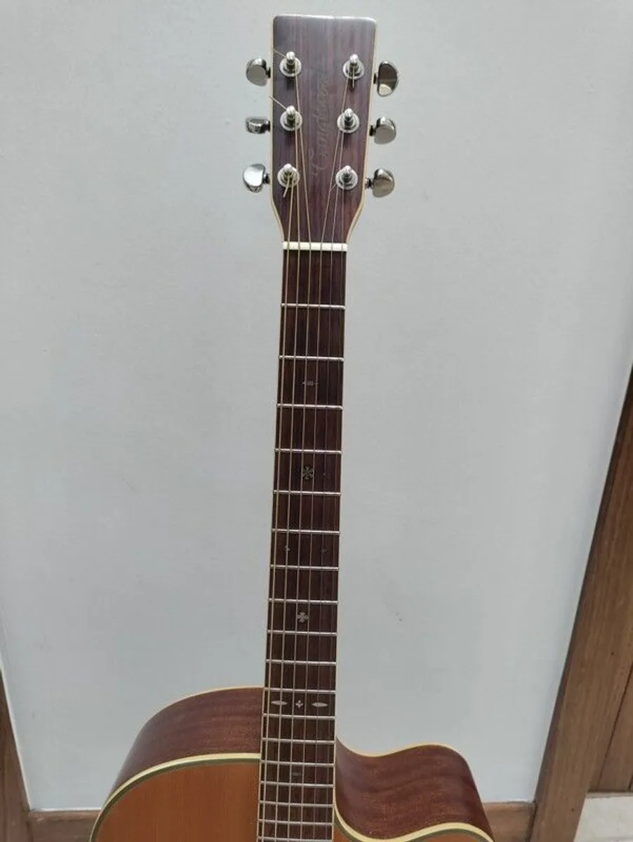 Tanglewood Semi Acoustic TW55NS - Image 3