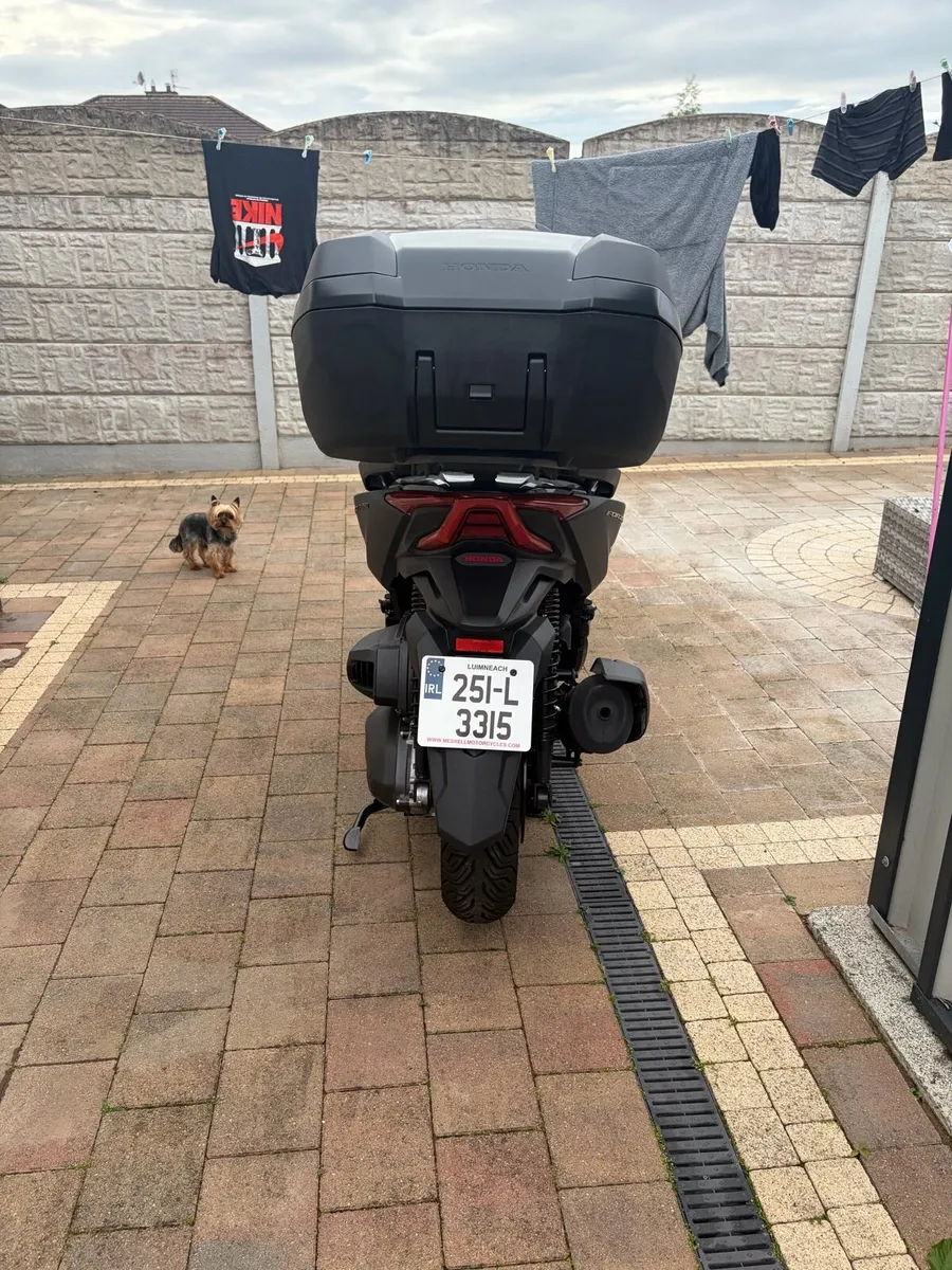 Honda Forza 330cc - Image 2