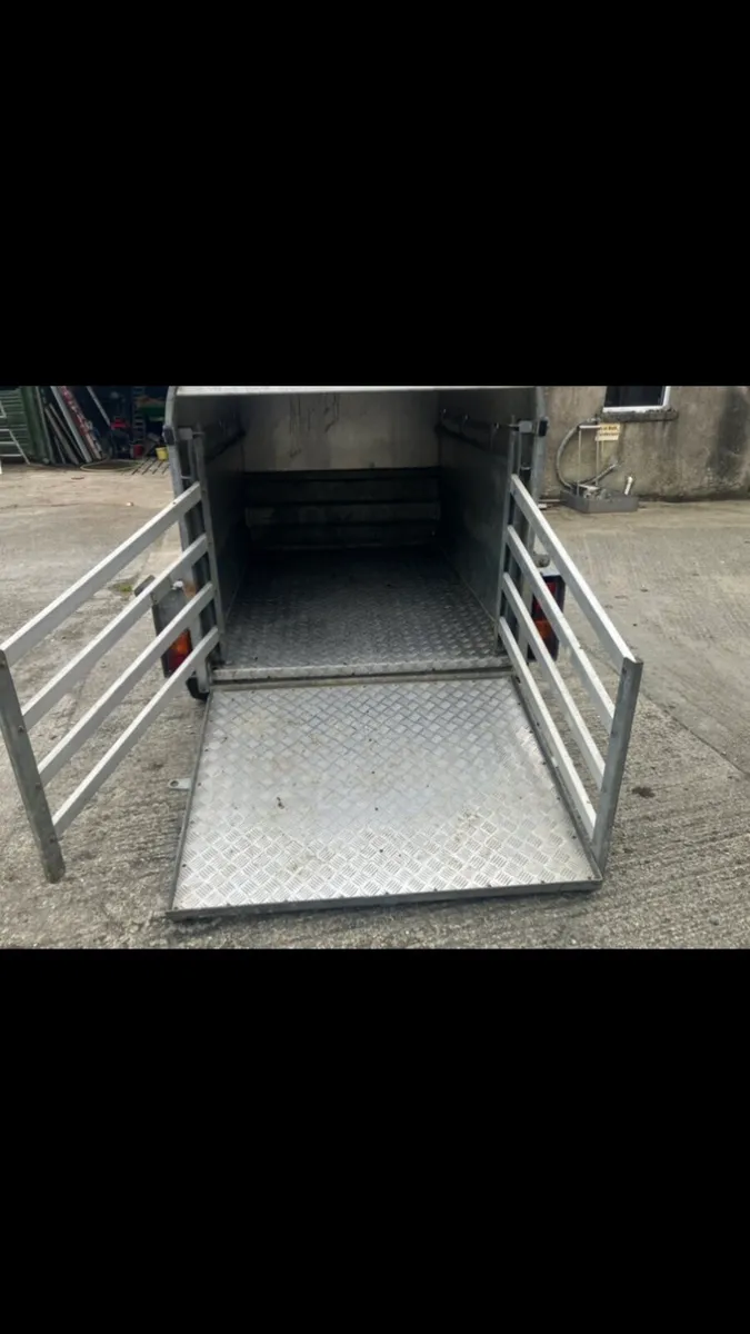 Graham Edwards sheep & calf trailer - Image 3