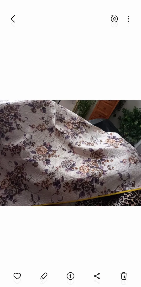Curtains - Image 3