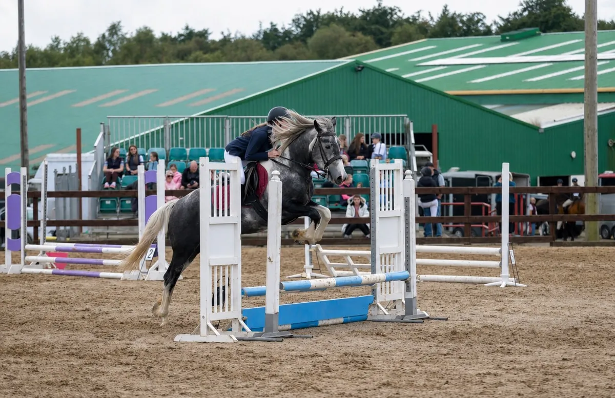Beautiful jumping pony - Image 3