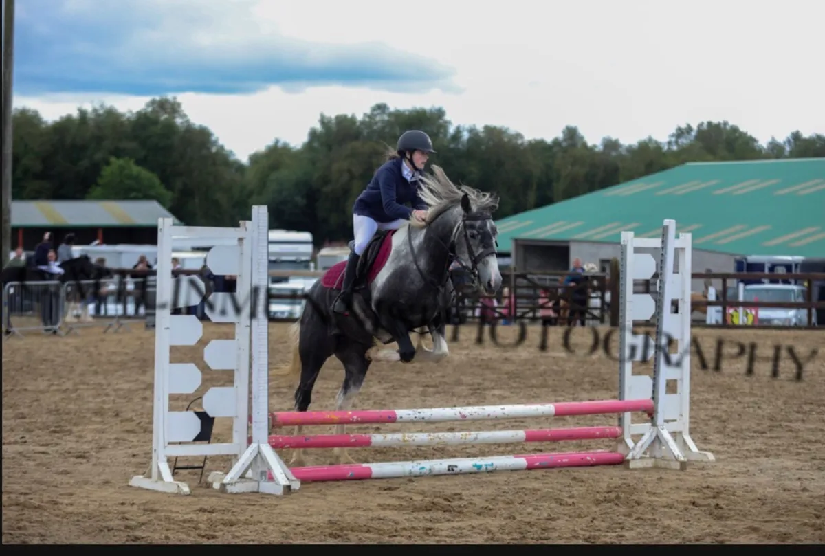 Beautiful jumping pony - Image 2