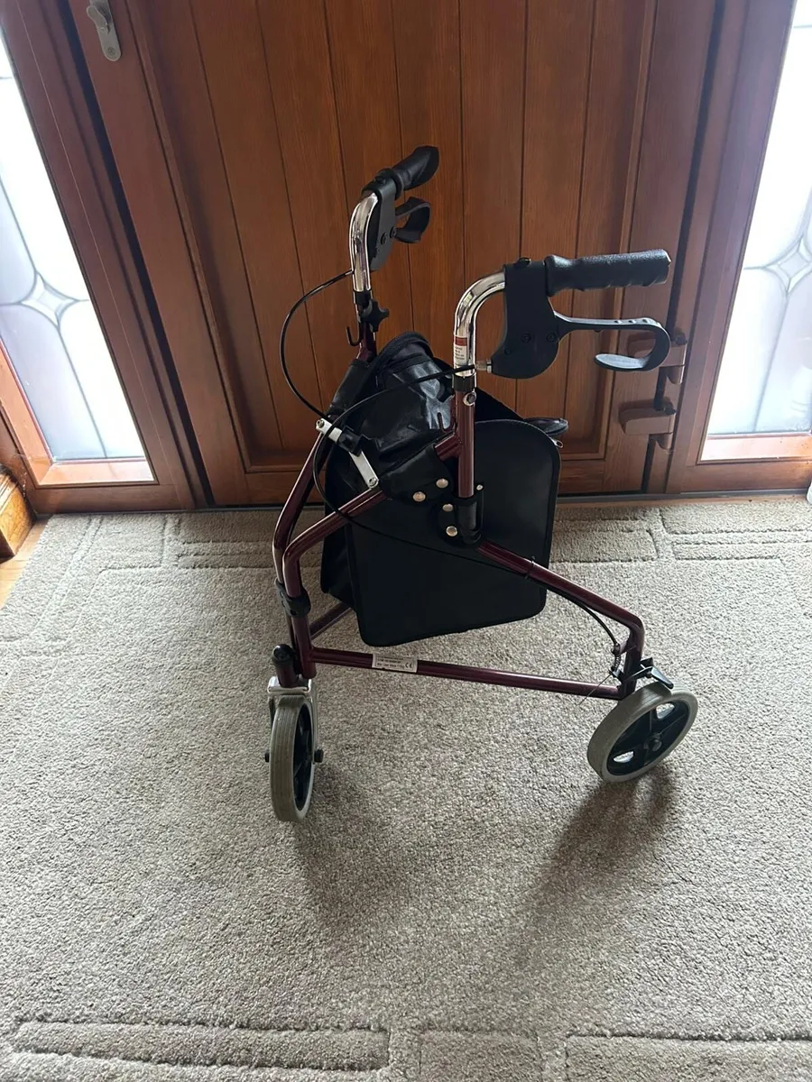Walking aid - Image 1