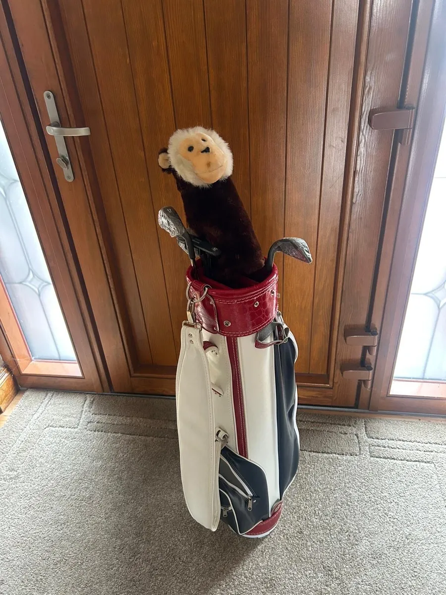 Women’s prosimmon golf set vintage - Image 1