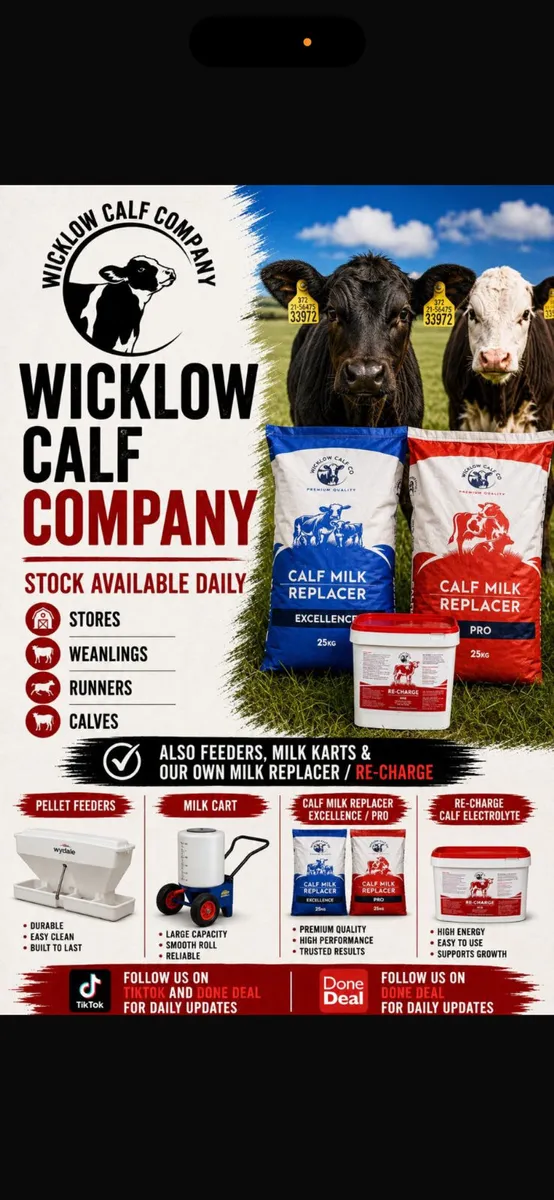 36 Quality calves available @Wicklow calf - Image 1