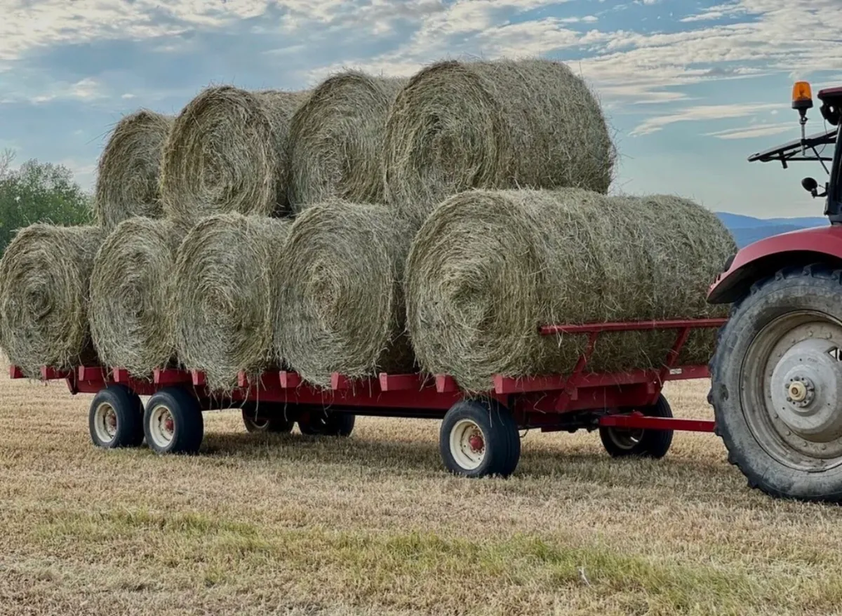 Great Hay For Sale