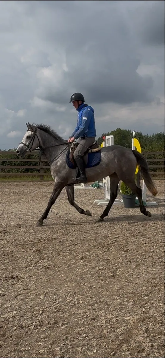 Potential Allrounder - Image 4