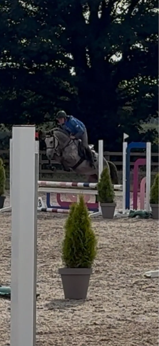 Potential Allrounder - Image 2
