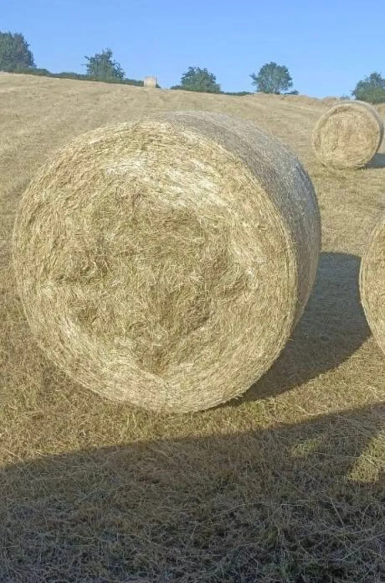 bedding and feed